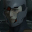 GRAY FOX