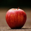 BabyAppleTree