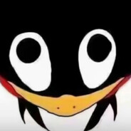 niko空三我空七我是nikonik