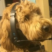 이상한 나라 $ - steam id 76561197960276210