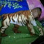 KINDER SURPRISE EGG