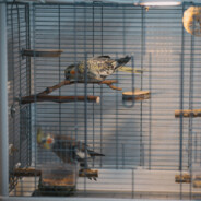 我笑啊笑啊笑啊