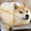 Delightful Bread Doge