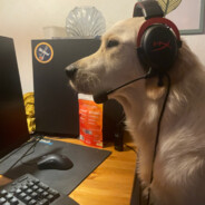 marcolele - steam id 76561198051773601
