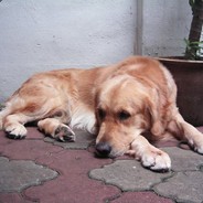 JYATY
