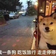 男酮竟在我身边