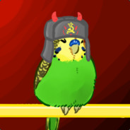 _Budgie_
