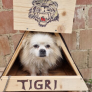 TIGRI