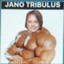 Jano Tribulus