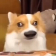 ye6uwe - steam id 76561199146047972