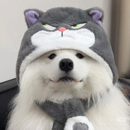 阳光美丽大男童