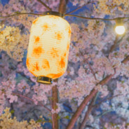 陷阱卡发动！广域轰炸！