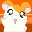 Hamtaro