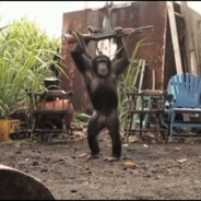 Чампик_228_4К