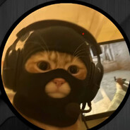 metsiS - steam id 76561199887779479