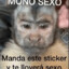 Mono Sexo