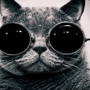 antibiotik Steam avatar