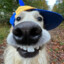 Puppok69
