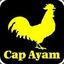 Cap Ayam