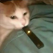 paco6666666