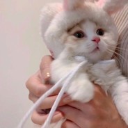 不知道叫什么好