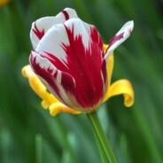 知音实在是难觅