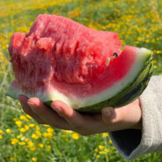 老三！我的兵呢！！！