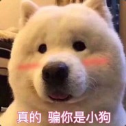 1963347671 88stea.cn