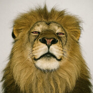 #HimkaZlo - steam id 76561198173955730