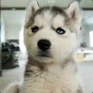 THE one-冰封夕阳