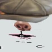 gnat