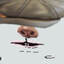 gnat