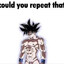 COULD YOU REPEAT THAT