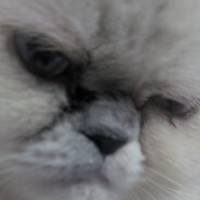 xiaowow