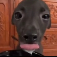 你有点紧张女士