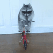 𝓑𝓸𝓷𝓳𝓸𝓾𝓻