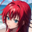 Rias Gremory DxD