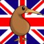 the_british_kiwi