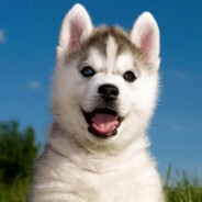 日着杨幂亲杨超越