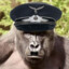 Captain Ape