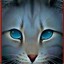 Jayfeather2003