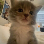 Беслан Чеченец