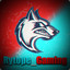 Rytope_Gaming