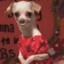 Petunia