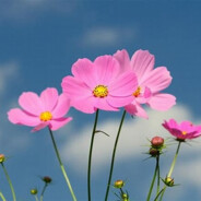 退休老头没有低保