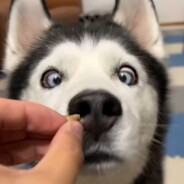 玩家头像