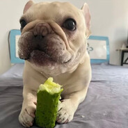 СоздательРасизма