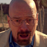 walter white