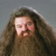 Hagrid