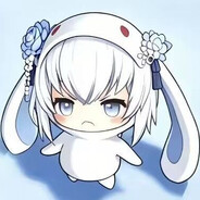 原色帽兜雪莲